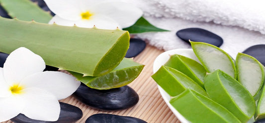 What Are The Multifarious Benefits Of Aloe Vera?
