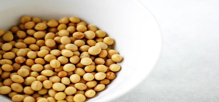 3 Amazing Health Benefits Of Soy