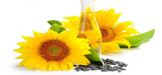10 Incredible Benefits Of Sunflower Oil