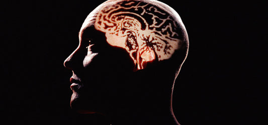 5 Natural Ways To Boost Your Memory!