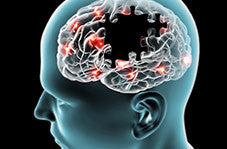 Switch to Organic Foods and Supplements to Prevent Alzheimer’s