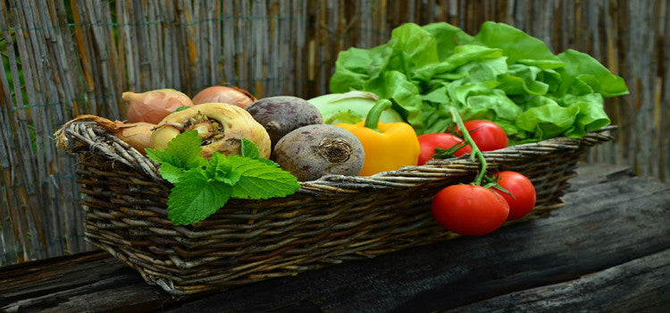 20 Tips To Improve Digestive Health
