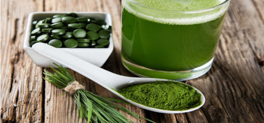 Benefits And Ways Of Using Wheatgrass