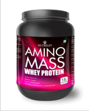 Nutriley Amino Mass - Body Weight / Muscle Gainer Whey Protein Supplement  (500 Gms)